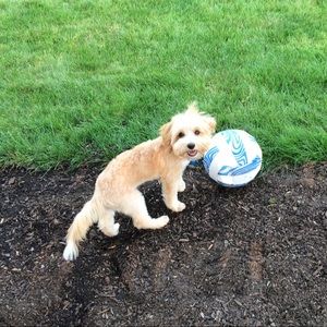 Meet your Posher, Lori